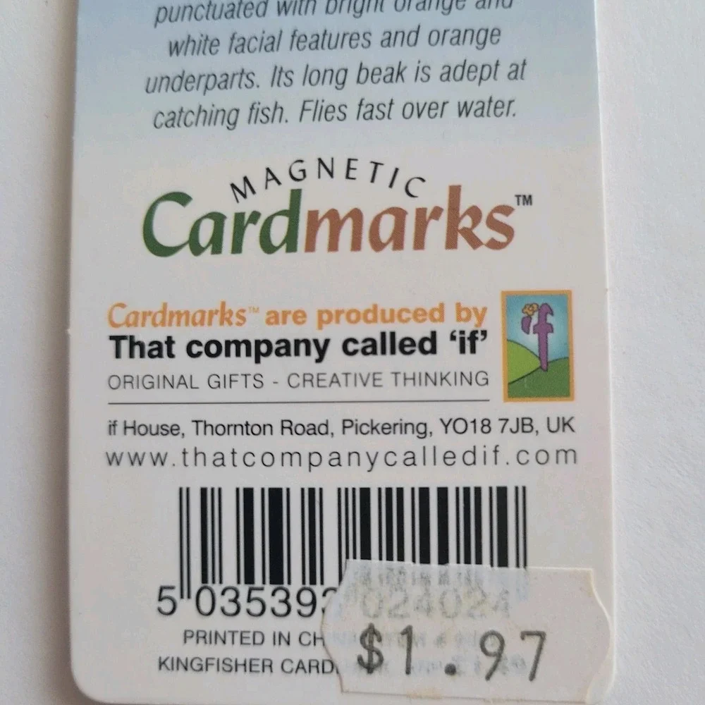 Cardmarks Kingfisher Bird Wild Nature Magnetic Magnet UK Company If 2402 Y2k 00s